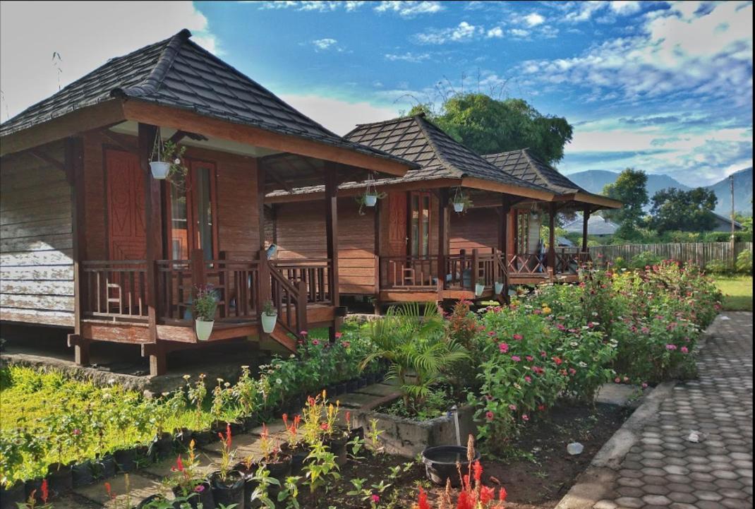 Puncak Rinjani Lodge Sembalunlawang Exteriér fotografie